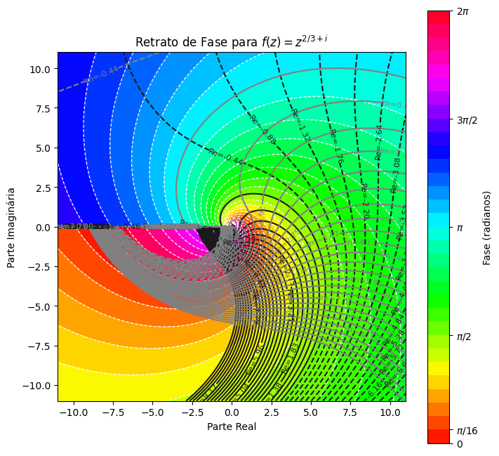 Imagem de fase para função complexa f(z) = z^(2/3+i)